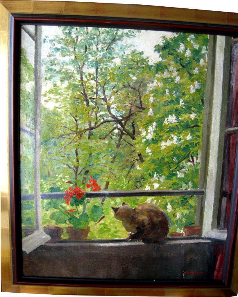 Chat sur le bord de la fenêtre
